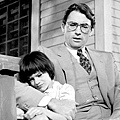  16.To Kill a Mockingbird-梅岡城故事.jpg