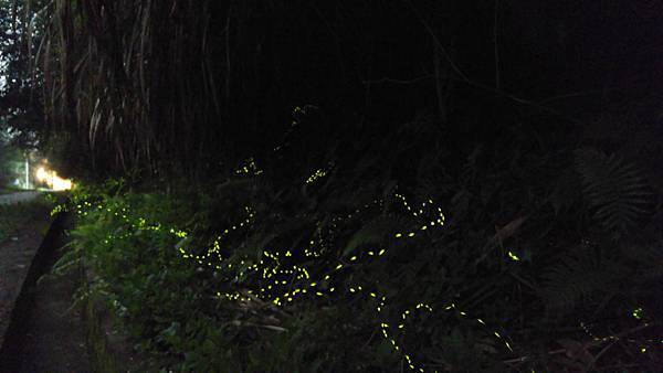 20160419_193108.jpg 20160419_193108.jpg