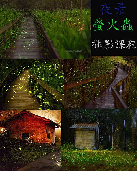 螢火蟲夜景-2.jpg 螢火蟲夜景-2.jpg