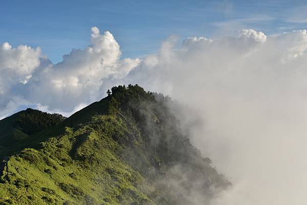 DSC_9397.JPG DSC_9397.JPG