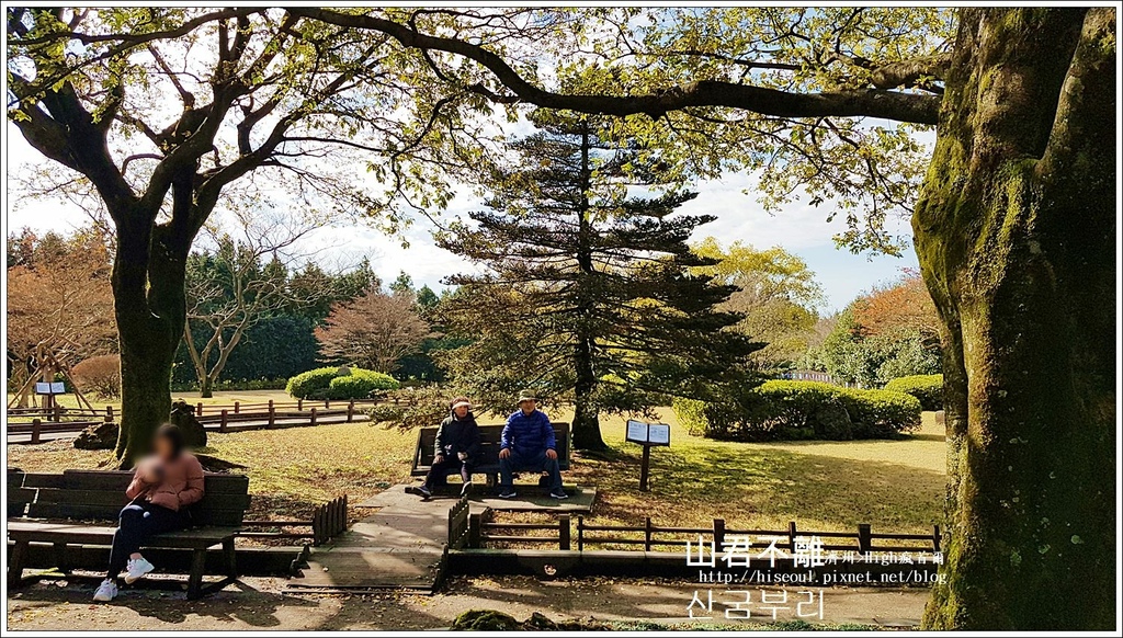 【濟州/濟州市】◆山君不離◆遼闊芒草搖曳的秋天浪漫산굼부리