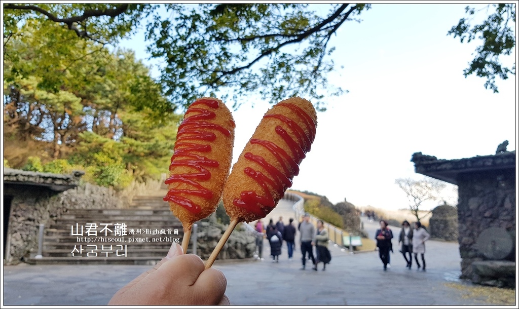 【濟州/濟州市】◆山君不離◆遼闊芒草搖曳的秋天浪漫산굼부리