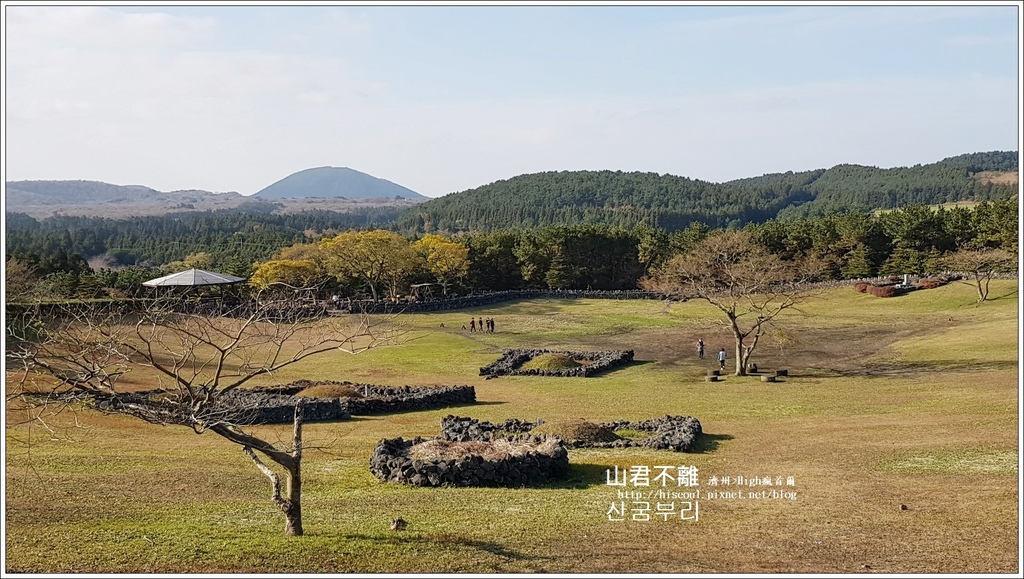 【濟州/濟州市】◆山君不離◆遼闊芒草搖曳的秋天浪漫산굼부리