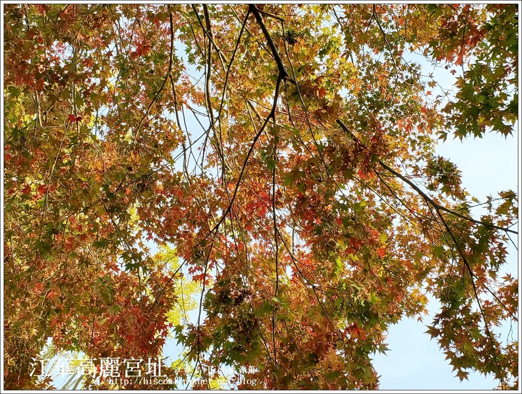 【江華島】◆聖公會江華聖堂◆韓國第一座韓式聖堂성공회강화성당