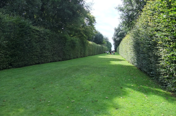 DSCF4741.HIDCOTE MANOR GARDEN 