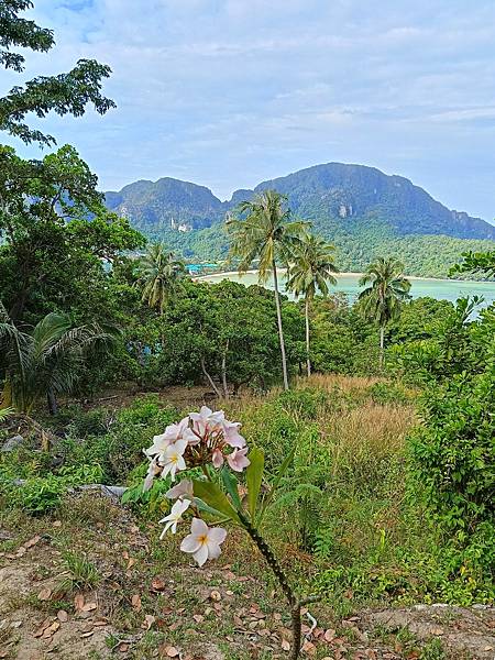 Phi Phi  Island  上山下海去