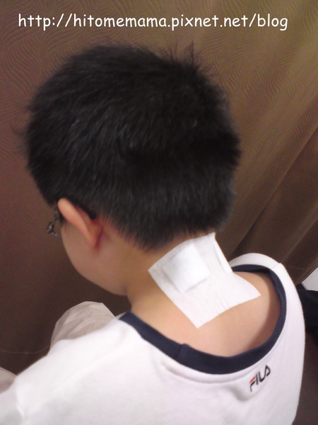 DSC01461-991229.jpg DSC01461-991229.jpg