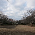 井の頭公園