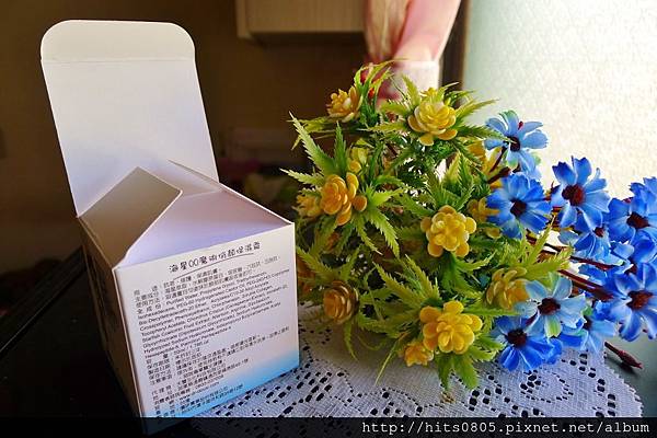 P1370671 (1024x682).jpg 試用