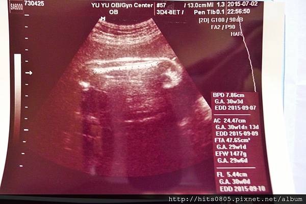 P1390199 (1024x682).jpg