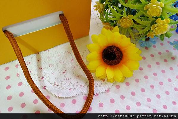 P1430908 (1024x682).jpg