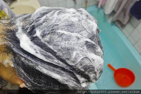 P1530197 (1280x852).jpg 試用