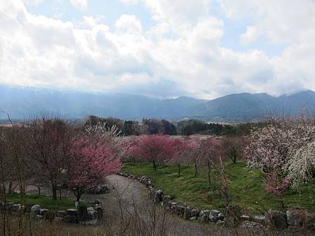 IMG_0331 IMG_0331
