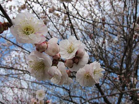 IMG_0351 IMG_0351