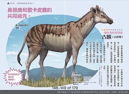 【閱】因演化而消失？滅絕動物知識小百科 by 今泉忠明、川崎