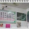 DSC05507.JPG