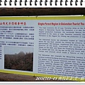 DSC05939.JPG