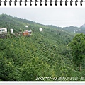 DSC05965.JPG