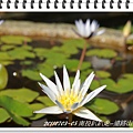 DSC06121.JPG