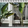 DSC06125.JPG