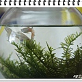 DSC05472.JPG