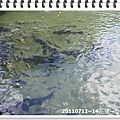 DSC07182.JPG