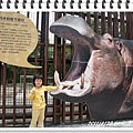 DSC02712.JPG