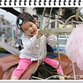 DSC03779.JPG