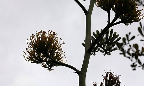 0217 067.jpg 0217 067.jpg