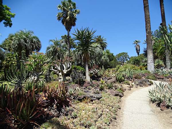 漢庭頓沙漠公園huntington Desert Garden 思在樹人 痞客邦