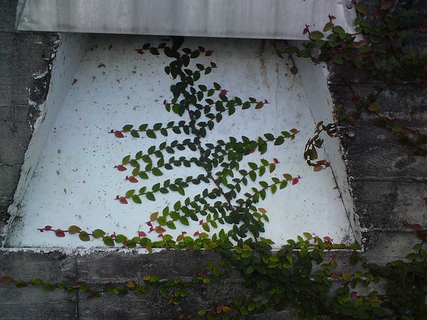 DSC00089.JPG DSC00089.JPG