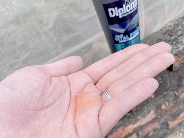 IMG_8930.JPG IMG_8930.JPG