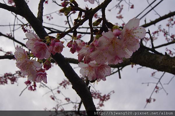 平菁街42巷