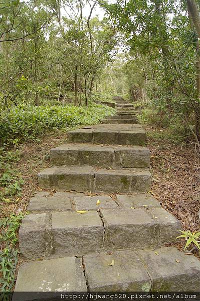 陽明大學