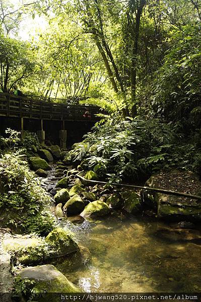 賞螢木棧道