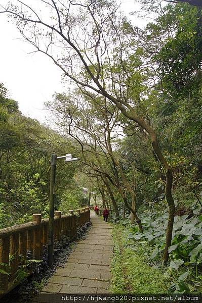 樟腦寮步道