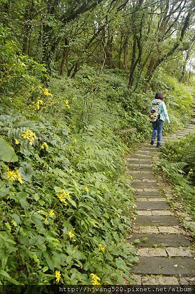 青山瀑布