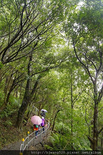 翠山步道