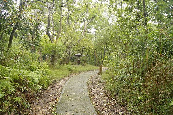 大崙尾山