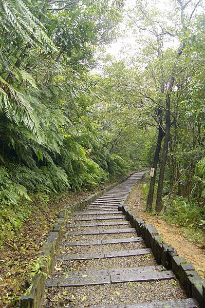 大崙頭山