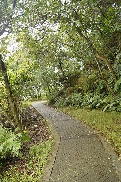 翠山步道