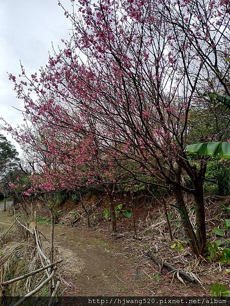 風尾步道