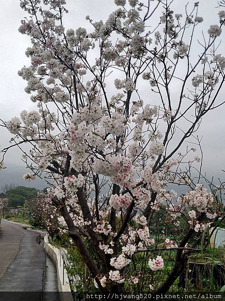 東昇步道