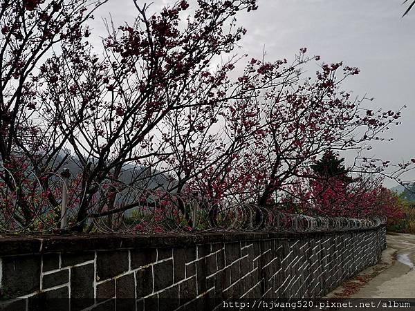 東昇步道