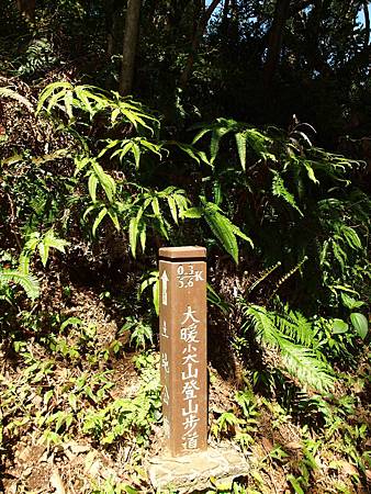 大暖尖山登山步道