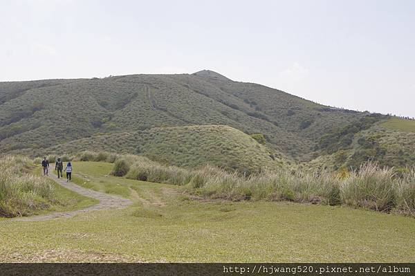 擎天崗環型步道