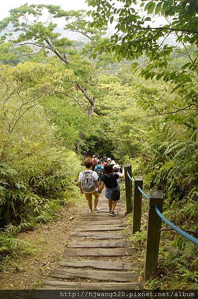 和美山