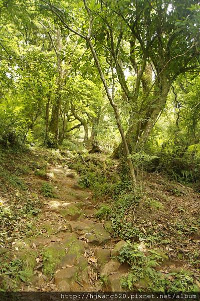 大屯山西峰