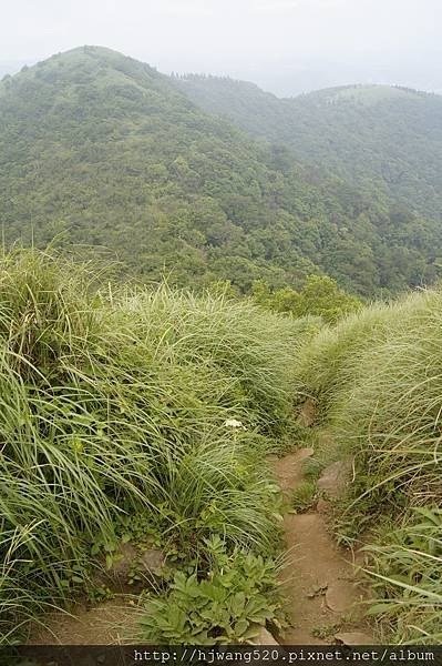 大屯山西峰