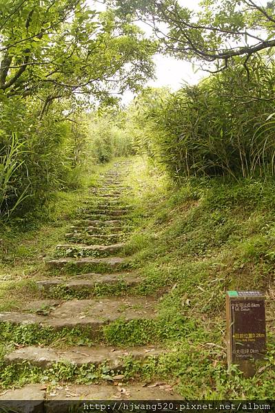 大屯山主峰